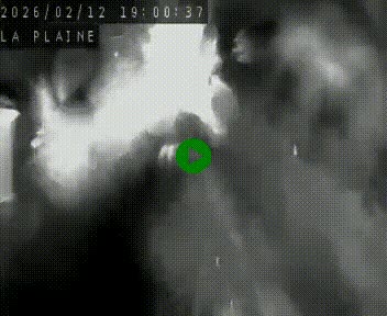 <h2>Caméra routière France - N109, Juvignac - La plaine, en direction de Clermont l'Hérault, à la sortie de Montpellier</h2>