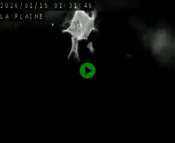 <h2>Caméra routière France - N109, Juvignac - La plaine, en direction de Clermont l'Hérault, à la sortie de Montpellier</h2>