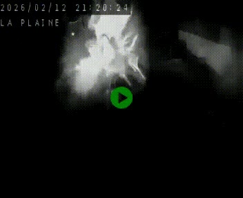 <h2>Caméra routière France - N109, Juvignac - La plaine, en direction de Clermont l'Hérault, à la sortie de Montpellier</h2>