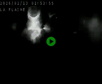 <h2>Caméra routière France - N109, Juvignac - La plaine, en direction de Clermont l'Hérault, à la sortie de Montpellier</h2>