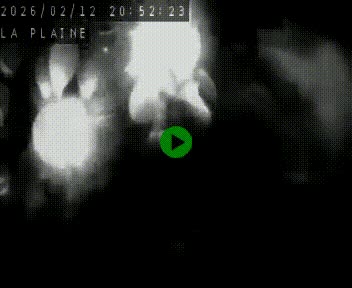 <h2>Caméra routière France - N109, Juvignac - La plaine, en direction de Clermont l'Hérault, à la sortie de Montpellier</h2>