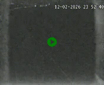 <h2>Caméra autoroute A75 à hauteur de la sortie 49 Le Caylar en direction de Montpellier</h2>