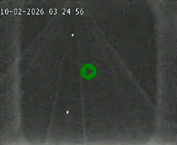 <h2>Caméra autoroutière France - A75, Cazouls d'Hérault, en direction de Béziers</h2>