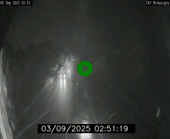 <h2>Webcam sur le périphérique de Rennes (N136) à hauteur du quartier Bréquigny, au sud de la ville</h2>