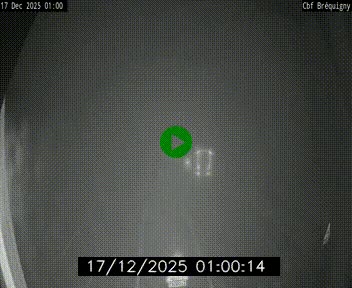 Webcam sur le périphérique de Rennes (N136) à hauteur du quartier Bréquigny, au sud de la ville