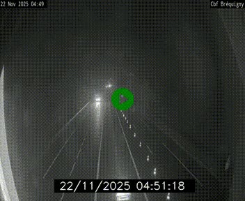 <h2>Webcam sur le périphérique de Rennes (N136) à hauteur du quartier Bréquigny, au sud de la ville</h2>