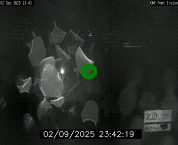 <h2>Webcam sur la N165 après le Pont de l'Iroise, à l'entrée de Brest</h2>