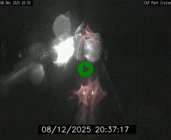 <h2>Webcam sur la N165 après le Pont de l'Iroise, à l'entrée de Brest</h2>