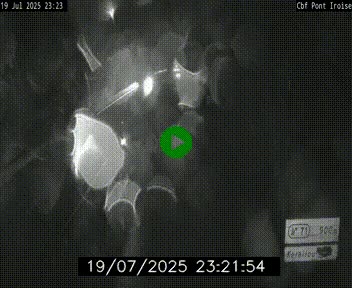 <h2>Webcam sur la N165 après le Pont de l'Iroise, à l'entrée de Brest</h2>