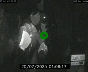 <h2>Webcam sur la N165 après le Pont de l'Iroise, à l'entrée de Brest</h2>