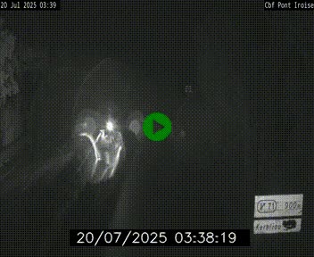 <h2>Webcam sur la N165 après le Pont de l'Iroise, à l'entrée de Brest</h2>
