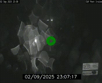 <h2>Webcam sur la N165 après le Pont de l'Iroise, à l'entrée de Brest</h2>