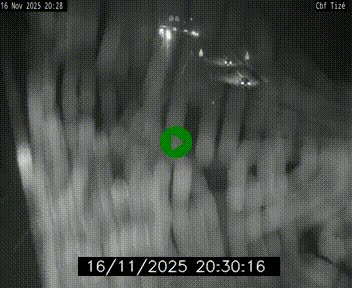 <h2>Webcam sur le périphérique de Rennes (N136) à hauteur de Tizé, à l'est de la ville</h2>