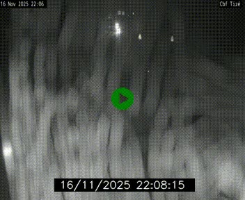 <h2>Webcam sur le périphérique de Rennes (N136) à hauteur de Tizé, à l'est de la ville</h2>