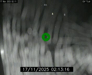 <h2>Webcam sur le périphérique de Rennes (N136) à hauteur de Tizé, à l'est de la ville</h2>