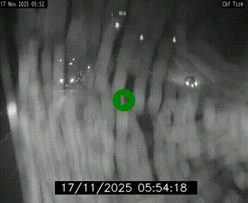 <h2>Webcam sur le périphérique de Rennes (N136) à hauteur de Tizé, à l'est de la ville</h2>