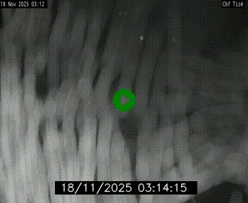 <h2>Webcam sur le périphérique de Rennes (N136) à hauteur de Tizé, à l'est de la ville</h2>