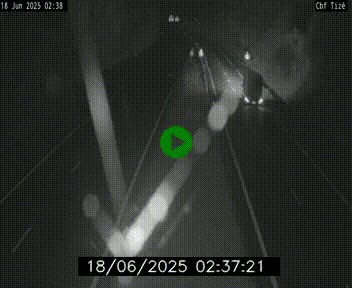 <h2>Webcam sur le périphérique de Rennes (N136) à hauteur de Tizé, à l'est de la ville</h2>