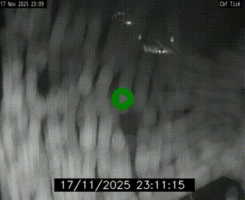 <h2>Webcam sur le périphérique de Rennes (N136) à hauteur de Tizé, à l'est de la ville</h2>