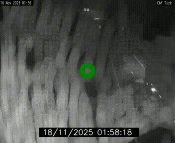 <h2>Webcam sur le périphérique de Rennes (N136) à hauteur de Tizé, à l'est de la ville</h2>