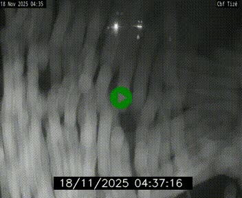 <h2>Webcam sur le périphérique de Rennes (N136) à hauteur de Tizé, à l'est de la ville</h2>