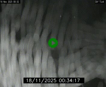 <h2>Webcam sur le périphérique de Rennes (N136) à hauteur de Tizé, à l'est de la ville</h2>