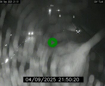 Webcam sur le périphérique de Rennes (N136) à hauteur de Tizé, à l'est de la ville