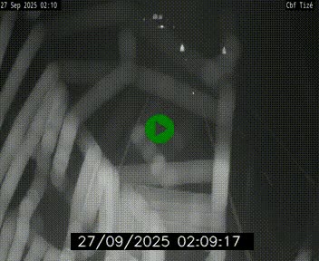 Webcam sur le périphérique de Rennes (N136) à hauteur de Tizé, à l'est de la ville