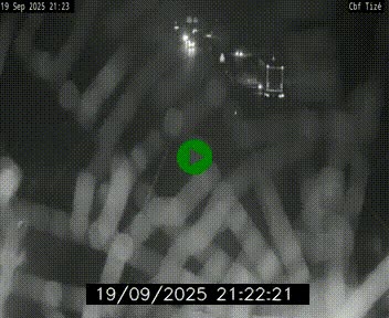 Webcam sur le périphérique de Rennes (N136) à hauteur de Tizé, à l'est de la ville