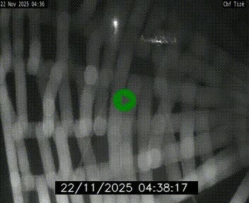 <h2>Webcam sur le périphérique de Rennes (N136) à hauteur de Tizé, à l'est de la ville</h2>