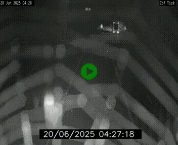 <h2>Webcam sur le périphérique de Rennes (N136) à hauteur de Tizé, à l'est de la ville</h2>