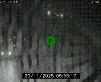 <h2>Webcam sur le périphérique de Rennes (N136) à hauteur de Tizé, à l'est de la ville</h2>