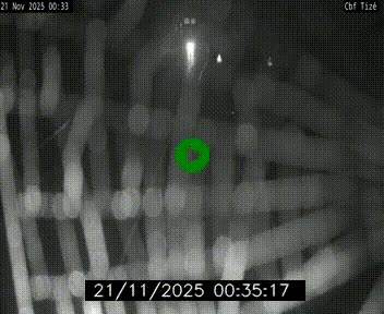 <h2>Webcam sur le périphérique de Rennes (N136) à hauteur de Tizé, à l'est de la ville</h2>