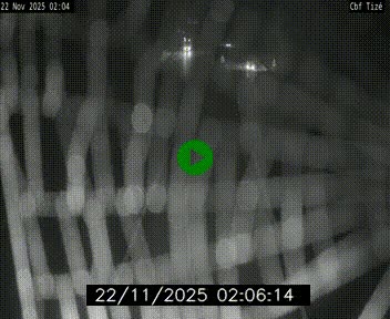 <h2>Webcam sur le périphérique de Rennes (N136) à hauteur de Tizé, à l'est de la ville</h2>