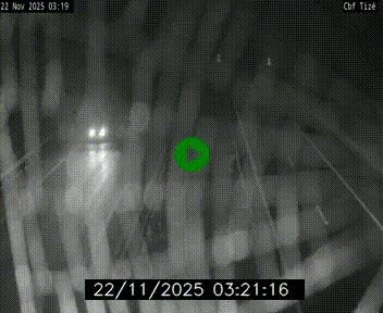 <h2>Webcam sur le périphérique de Rennes (N136) à hauteur de Tizé, à l'est de la ville</h2>