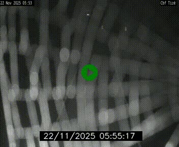 <h2>Webcam sur le périphérique de Rennes (N136) à hauteur de Tizé, à l'est de la ville</h2>