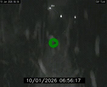<h2>Webcam sur le périphérique de Rennes (N136) à hauteur de Tizé, à l'est de la ville</h2>