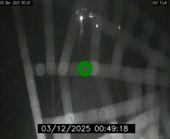 <h2>Webcam sur le périphérique de Rennes (N136) à hauteur de Tizé, à l'est de la ville</h2>