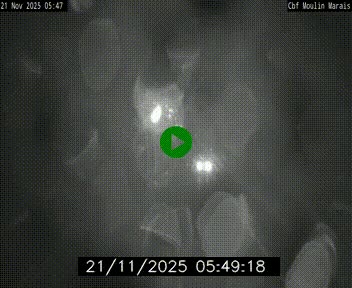 <h2>Webcam sur le périphérique de Nantes (N844) entre la Porte de Saint-Luce et la Porte d'Anjou, à l'est de la ville</h2>