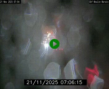 <h2>Webcam sur le périphérique de Nantes (N844) entre la Porte de Saint-Luce et la Porte d'Anjou, à l'est de la ville</h2>