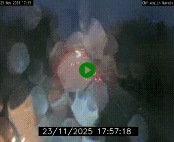 <h2>Webcam sur le périphérique de Nantes (N844) entre la Porte de Saint-Luce et la Porte d'Anjou, à l'est de la ville</h2>