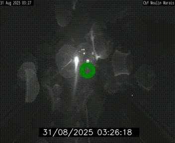 <h2>Webcam sur le périphérique de Nantes (N844) entre la Porte de Saint-Luce et la Porte d'Anjou, à l'est de la ville</h2>