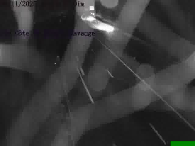 <h2>Clone of Webcam sur la D14, dans la côte Saint-Michel. Vue orientée vers Havange</h2>