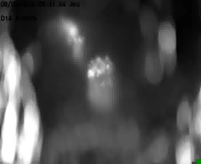 Webcam sur la D16 à Aumetz. Vue orientée vers A30