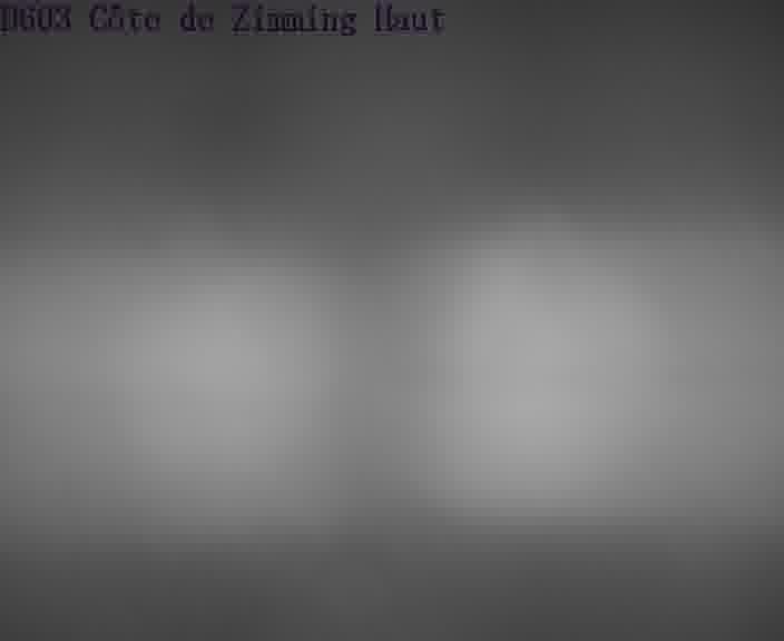 <h2>Webcam sur la D603 située en haut de la Côte de Zimming. Vue orientée vers Saint-Avold.</h2>