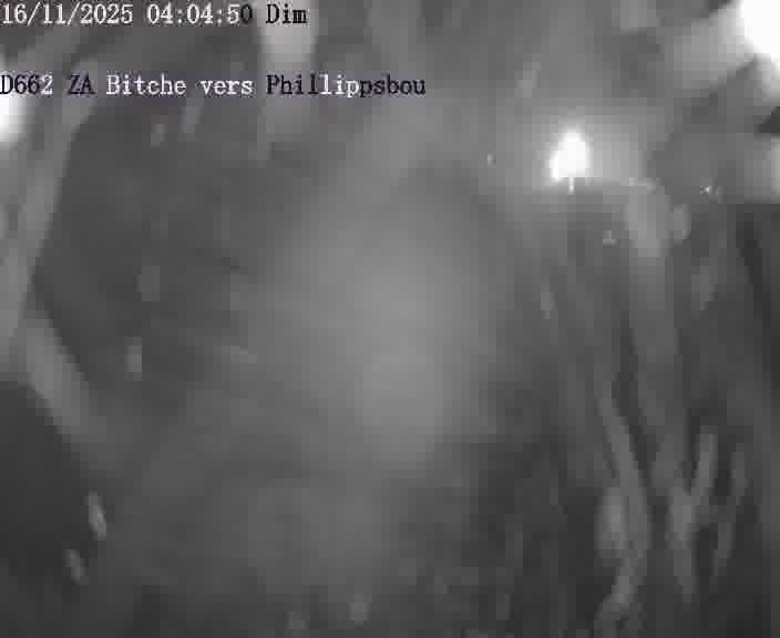 <h2>Caméra de trafic sur D662 (France) à Bitche, orientée vers Phillippsbourg, permettant d’évaluer fluidité, incidents et densité automobile.</h2>