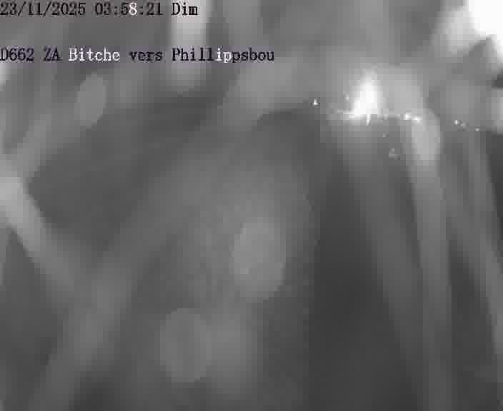 <h2>Caméra de trafic sur D662 (France) à Bitche, orientée vers Phillippsbourg, permettant d’évaluer fluidité, incidents et densité automobile.</h2>