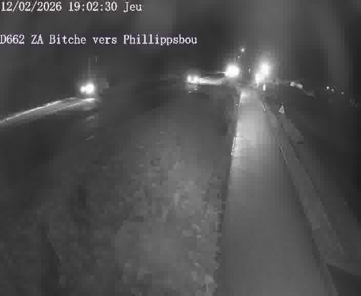 Caméra de trafic sur D662 (France) à Bitche, orientée vers Phillippsbourg, permettant d’évaluer fluidité, incidents et densité automobile.