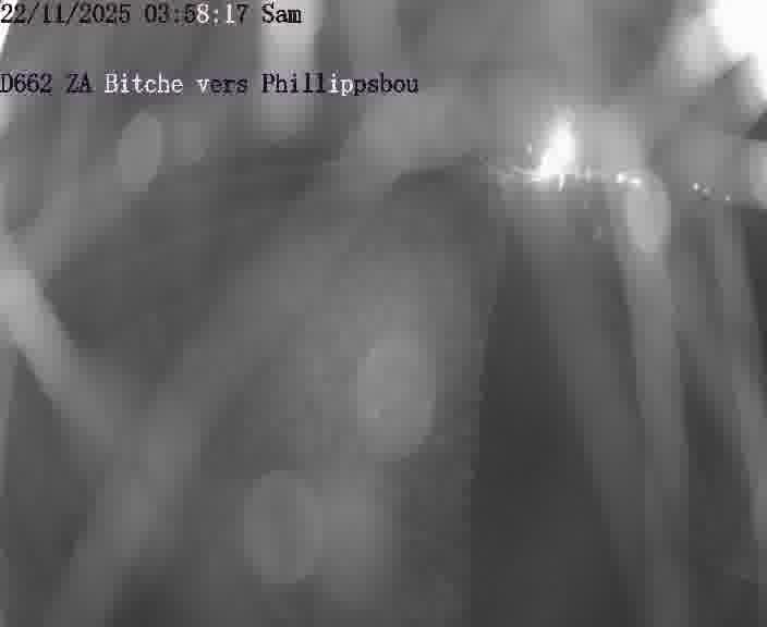 <h2>Caméra de trafic sur D662 (France) à Bitche, orientée vers Phillippsbourg, permettant d’évaluer fluidité, incidents et densité automobile.</h2>