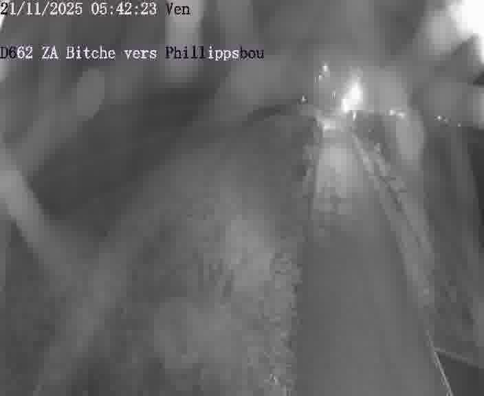 <h2>Caméra de trafic sur D662 (France) à Bitche, orientée vers Phillippsbourg, permettant d’évaluer fluidité, incidents et densité automobile.</h2>